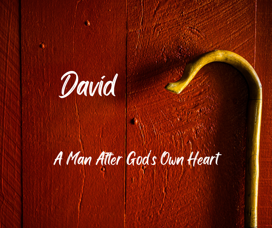 A character study of David