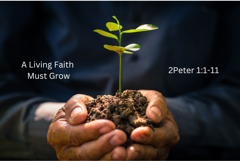 A Living Faith Must Grow